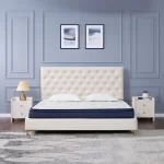 Spine Comfort Foam Mattress